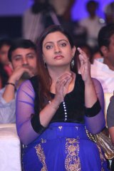 Dikkulu Choodaku Ramayya Movie Audio Launch